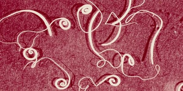 Foto vu mënschleche Parasiten